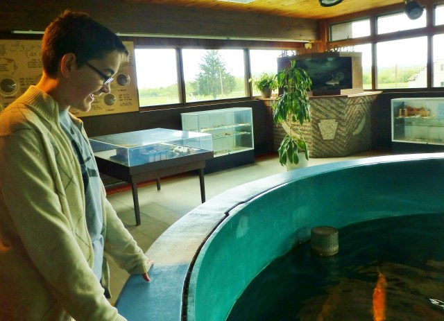 Grady enjoys watching the fish in a giant holding tank, which can also be viewed through portholes on a lower level.  There is so much to learn about the local wildlife from this exhibit!