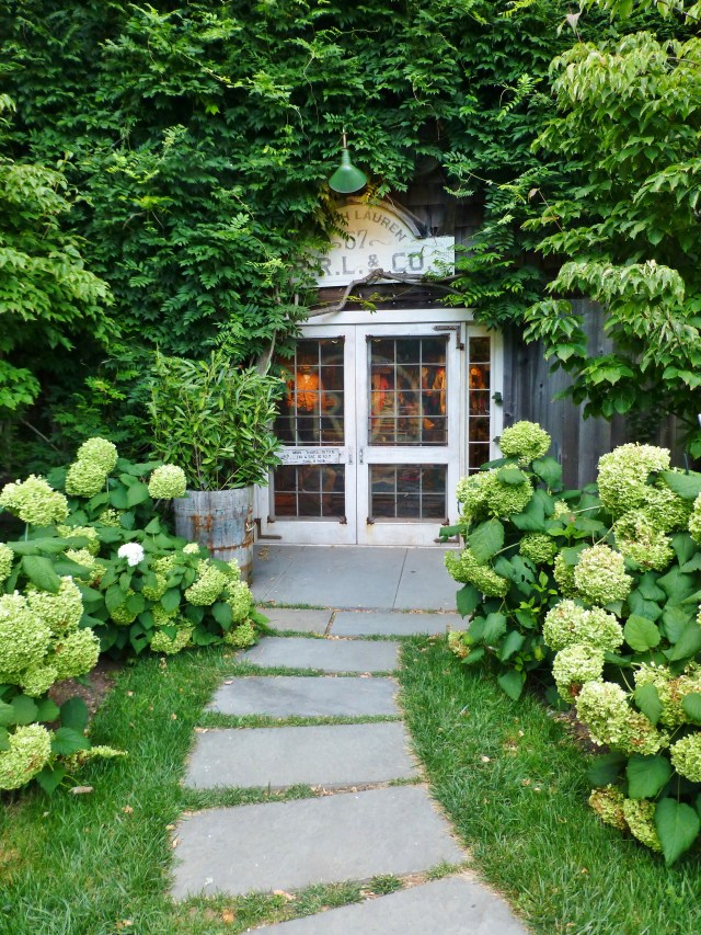 The rear entry of a Ralph Lauren store in the Hamptons.  It's so inviting with trailing greenery and lush plantings of Hydrangeas!