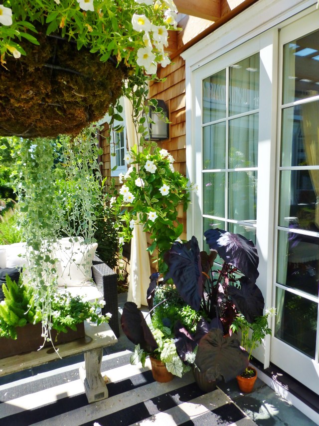 A detail of clustered potted plants at the end of the outdoor sofa.  Notice the traditional cement garden bench used as a coffee table.  Very clever!