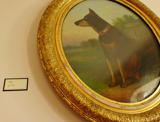 Here's a portrait of "Nelly" the Ryerss family Doberman.