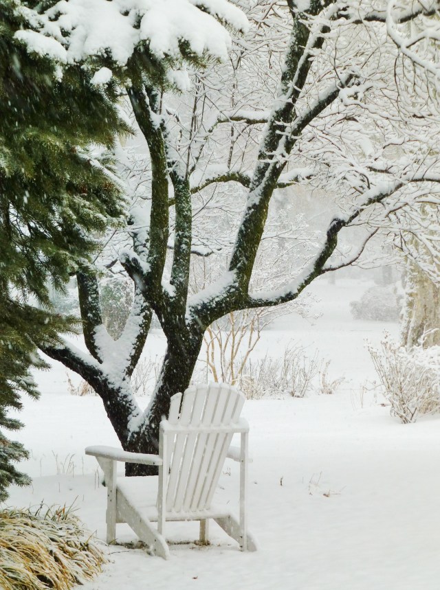 The thick white snow is clinging to every available surface.   I love how it outlines every tree branch, making the bleak winter landscape so magical!