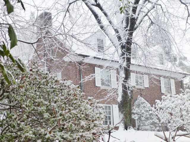 This beautiful red brick colonial stands out in its white surroundings.