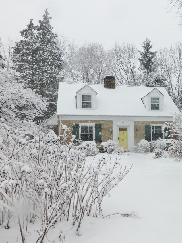 My walk around the block brings me full circle, back to my own little cottage.  My bright yellow front door is a beacon in the winter-time.