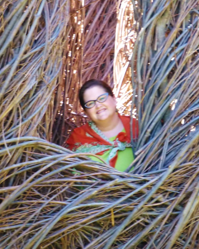 On of the wonderful things about these Willow Sculptures is that they are interactive. Visitors can go inside the little structures and experience the twigwork intimately. Children seem to particularly enjoy this aspect and much laughter and running about can be observed during a visit to the Dougherty sculpture. I enjoyed popping inside too!