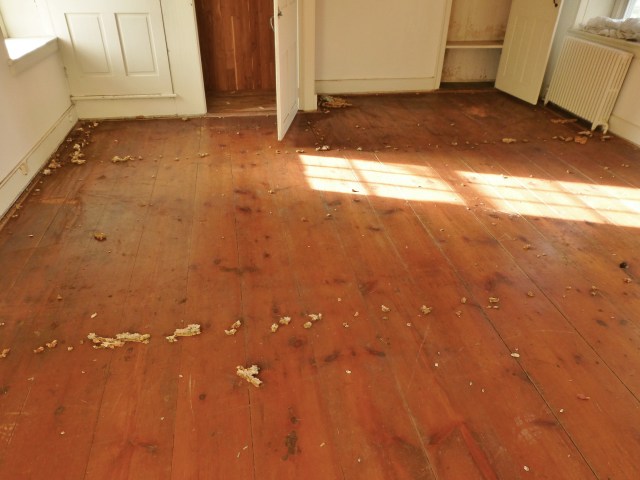 I'm sure you've probably noticed the antique pine flooring throughout the bedroom. My space is in the historic portion of the 2016 Bucks County Designer House. The original farmhouse dates to 1860. Obviously the floors were carpeted, so there are many staples and bits of foam padding everywhere, along with the tacking strips around the perimeter. Once these are removed and the floor is cleaned and polished, the floor should be very pretty, albeit a bit rustic.