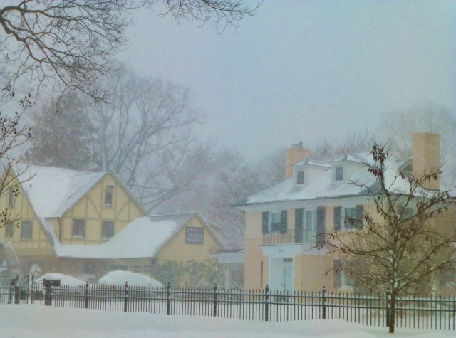 These two pastel beauties are look cozy amidst the blizzard. 