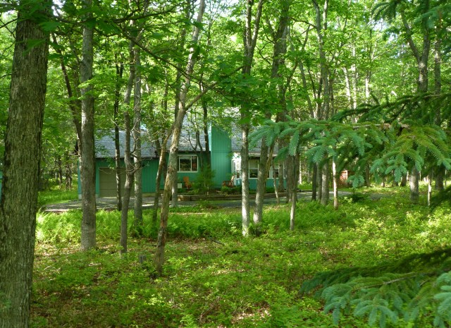 While admittedly horrified by the color at first, I've learned to be patient. In the summertime, all the wonderful green helps to camouflage the vivid hue. Unfortunately, the home was just freshly painted before our purchase, so the need to paint is purely aesthetic. And since there is so much to do inside the little house (I'll share all about that with you soon), we've opted to wait a bit before changing the unusual palette.