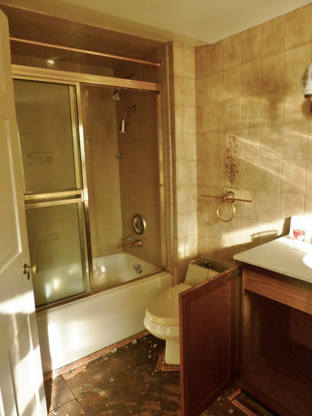 And looking off to the left, you'll notice a bathtub shower combo, and the toilet. 