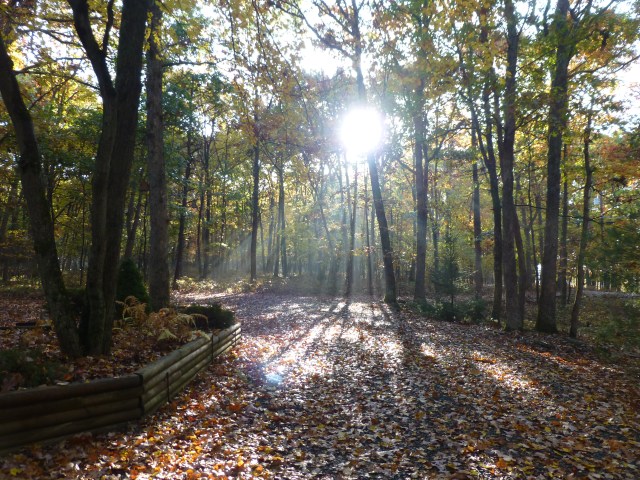 The Shack at Dusk Southern Poconos Jim Thorpe PA Kristine Robinsons Interiors (2)